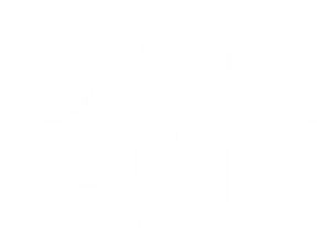 Bont Gin